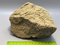 A brown, medium-to-coarse grained graywacke sandstone.